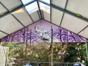 Portfolio img 20250217 wa0023