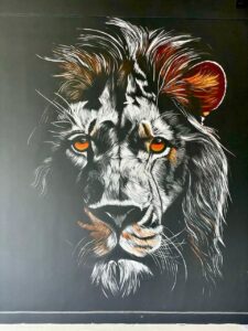 Portfolio whatsapp image 2026 03 10 at 11.42.48 am