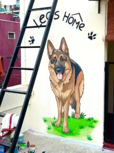 Portfolio whatsapp image 2026 03 10 at 11.42.50 am (1)